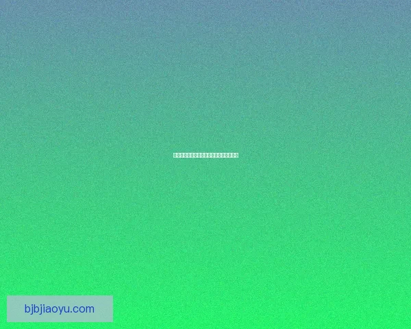 光辉辅助英雄最佳出装顺序推荐及战术解析